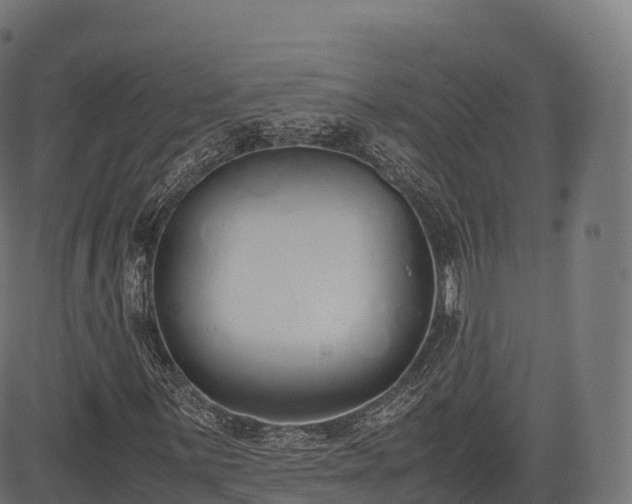 X0000085251059200703091252