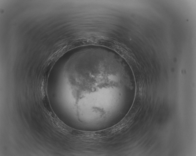 X0000085251060200703091252