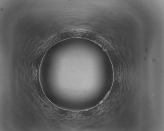 X0000085251061200703091252