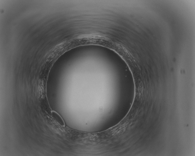 X0000085251062200703091252