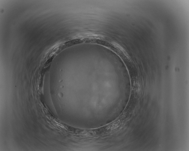 X0000085251063200703091252