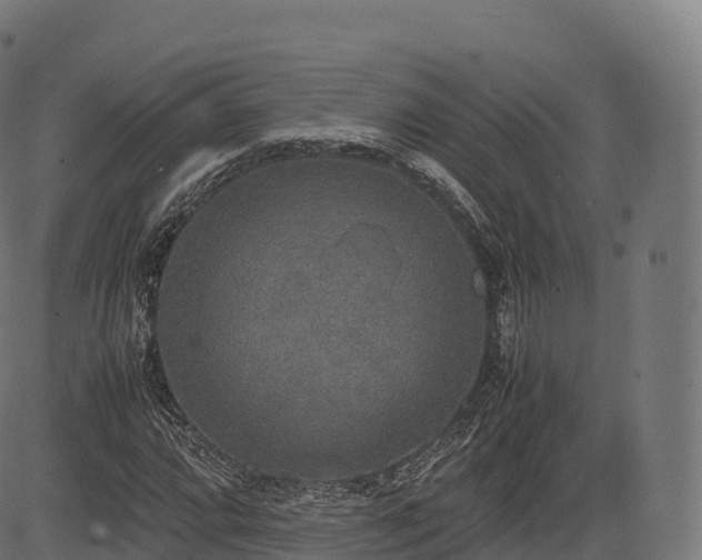 X0000085251064200703091252