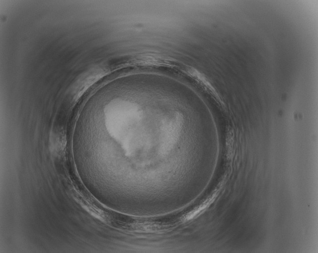 X0000085251065200703091252