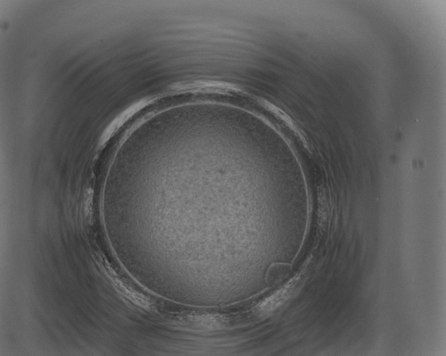 X0000085251066200703091252