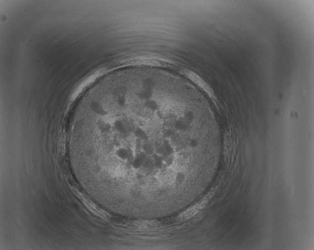 X0000085251067200703091252