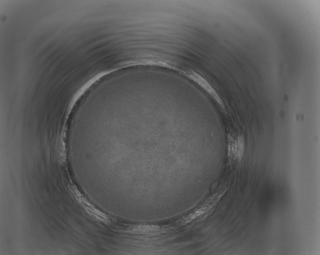 X0000085251068200703091252