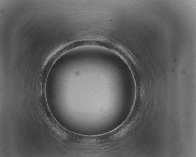 X0000085251069200703091252