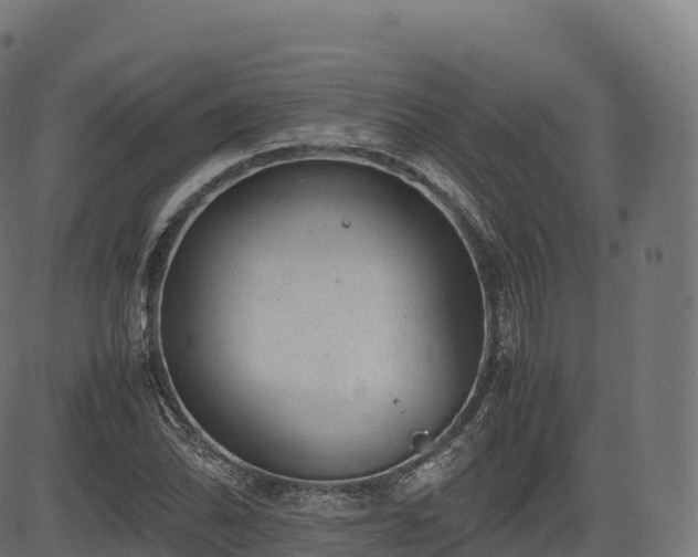 X0000085251070200703091252