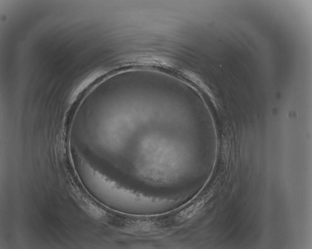 X0000085251071200703091252