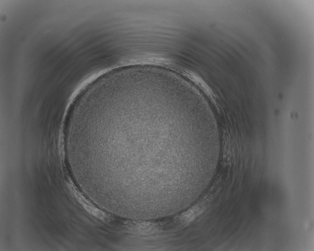 X0000085251072200703091252