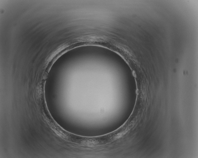 X0000085251073200703091252