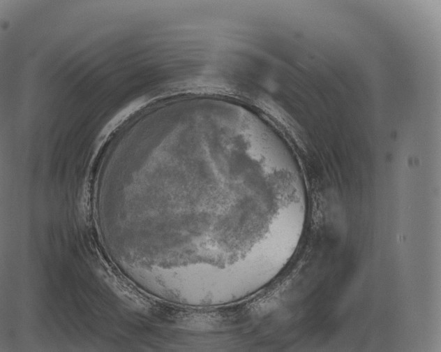 X0000085251074200703091252