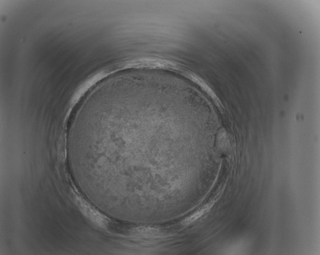 X0000085251075200703091252