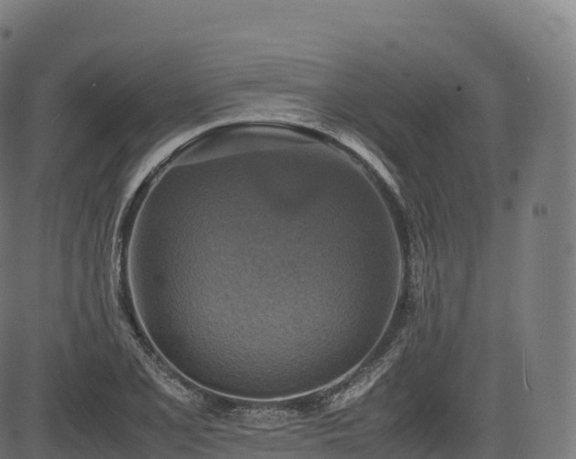 X0000085251077200703091252