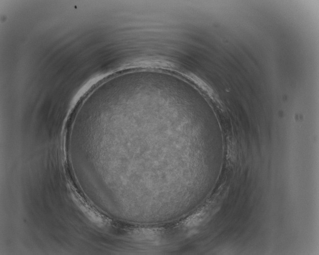 X0000085251078200703091252