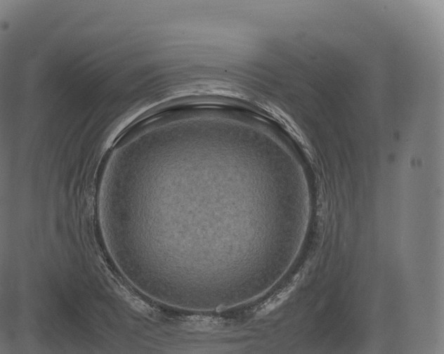 X0000085251081200703091252