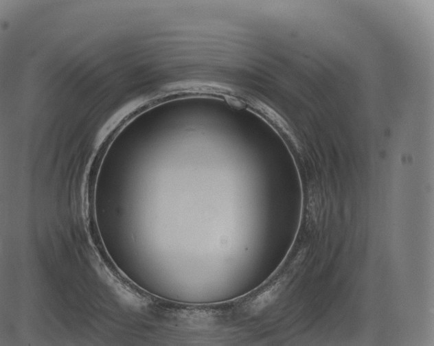 X0000085251082200703091252