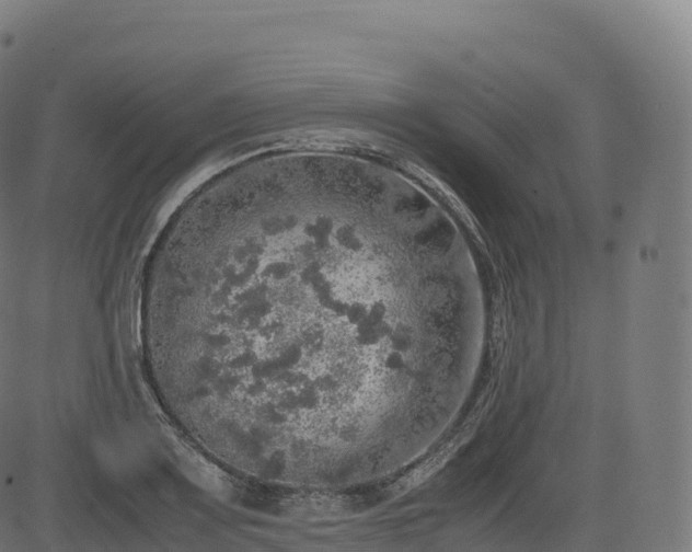 X0000085251083200703091252