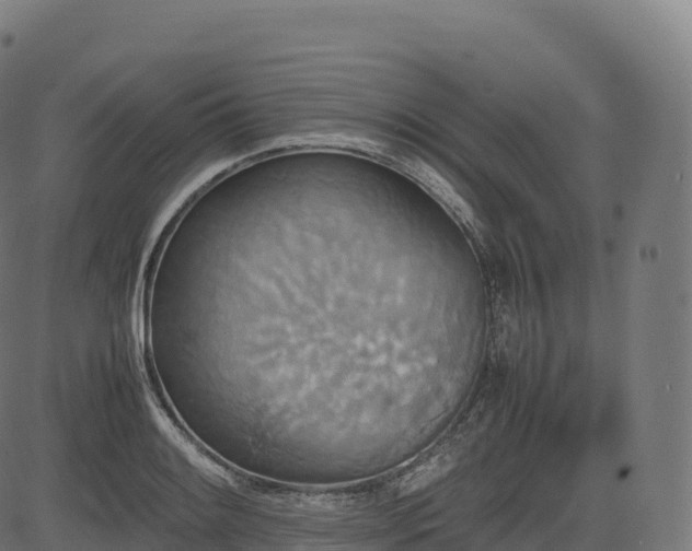 X0000085251084200703091252