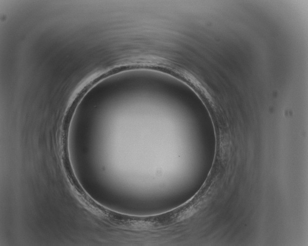 X0000085251085200703091252