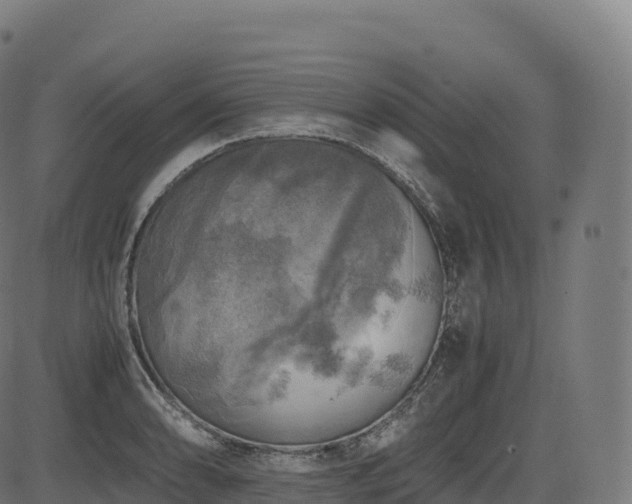 X0000085251086200703091252