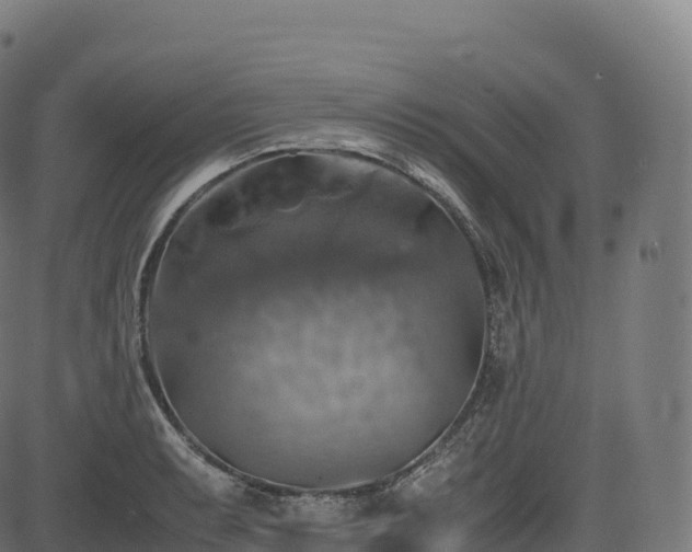 X0000085251087200703091252