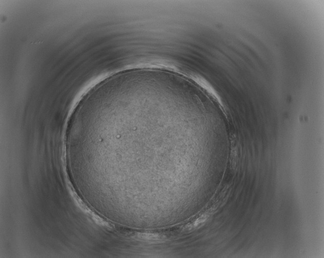 X0000085251088200703091252