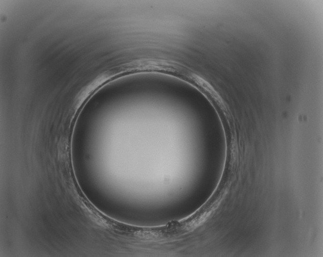 X0000085251089200703091252