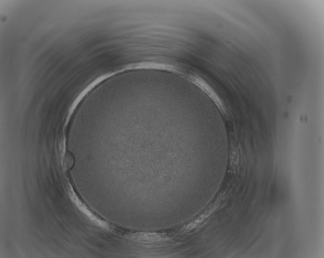 X0000085251092200703091252