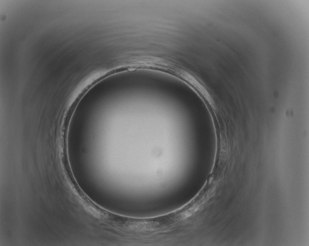 X0000085251093200703091252