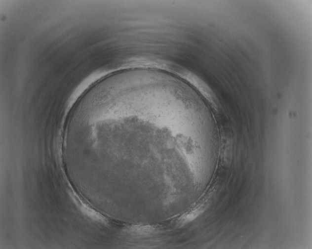 X0000085251094200703091252