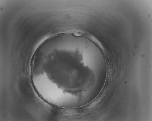 X0000085251095200703091252