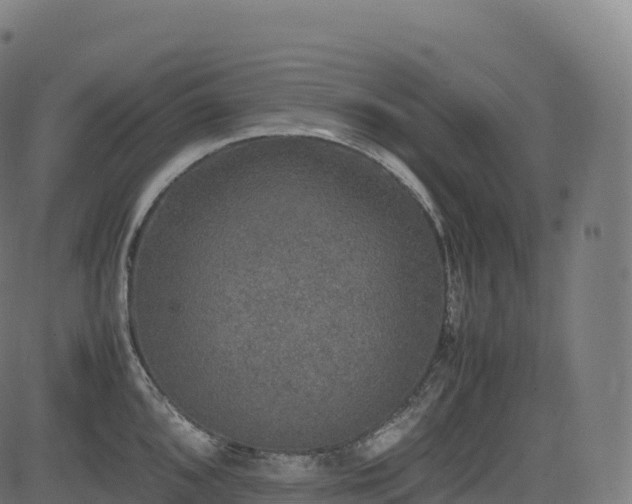 X0000085251096200703091252