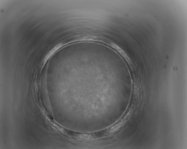 X0000085251097200703091251