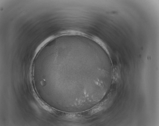 X0000085251098200703091251