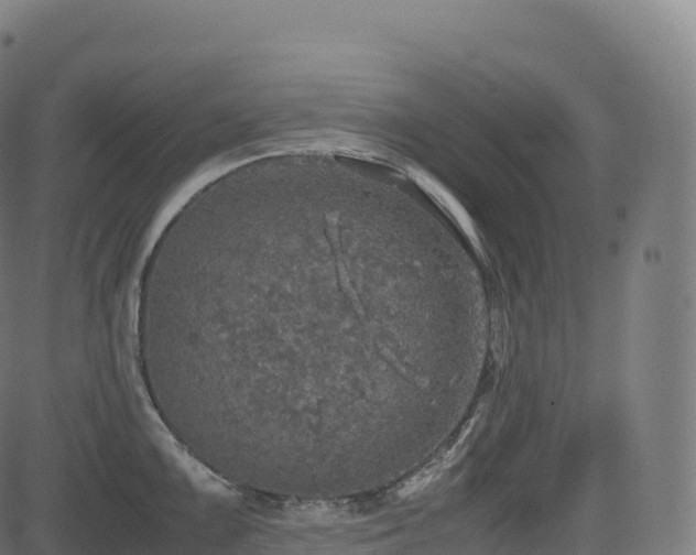 X0000085251099200703091251