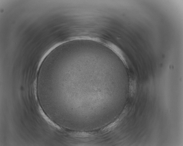 X0000085251100200703091251