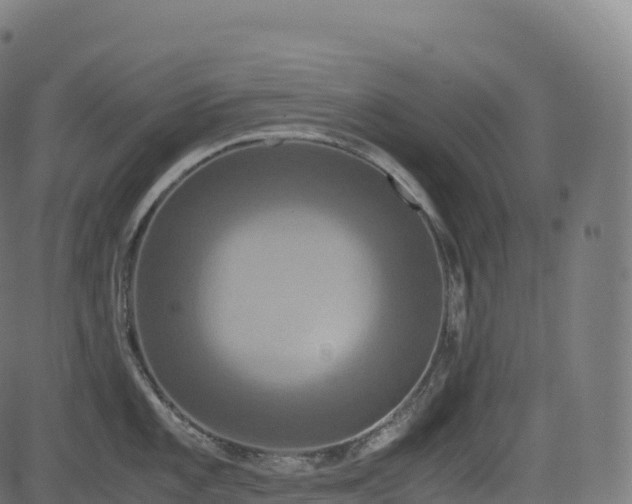 X0000085251101200703091251