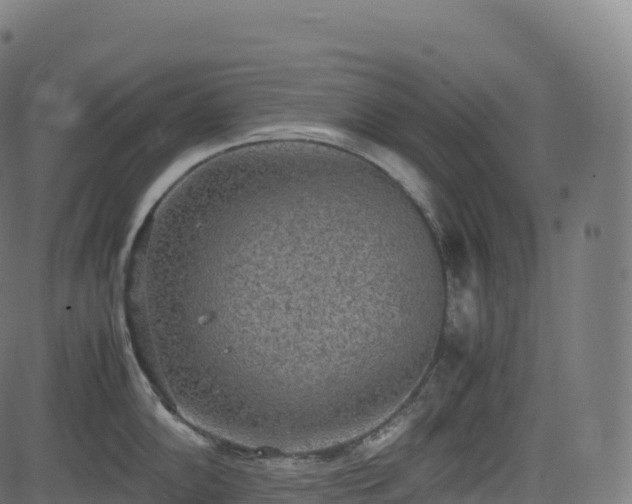 X0000085251102200703091251