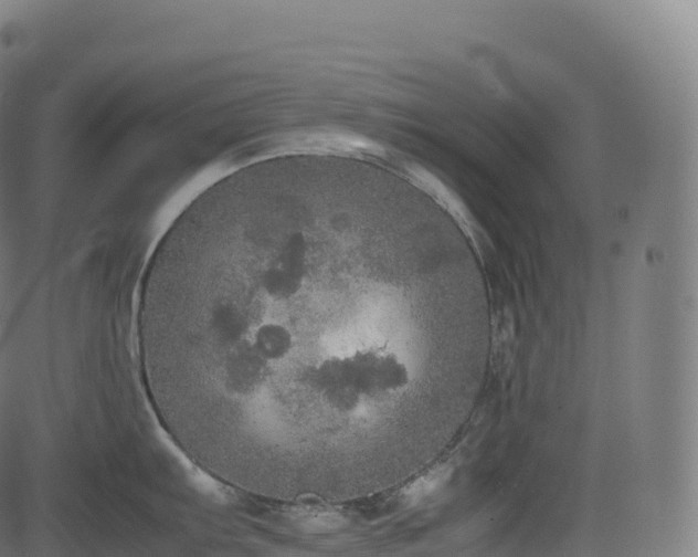 X0000085251103200703091251