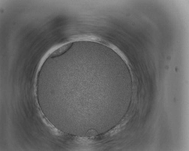 X0000085251104200703091251