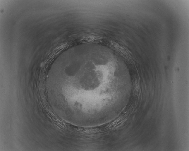 X0000085251105200703091251