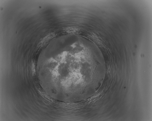 X0000085251106200703091251