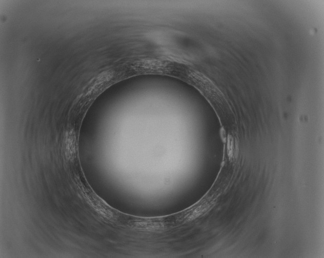 X0000085251107200703091251