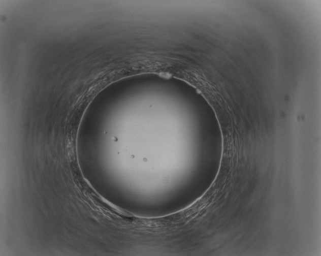 X0000085251109200703091251