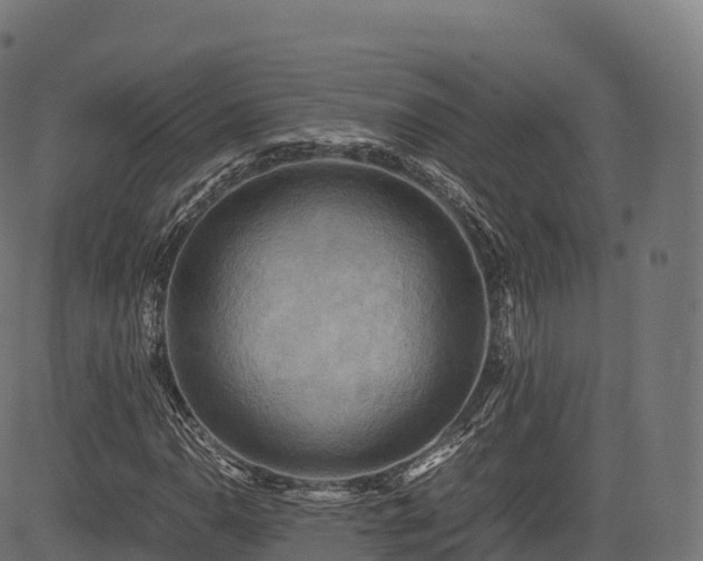 X0000085251110200703091251