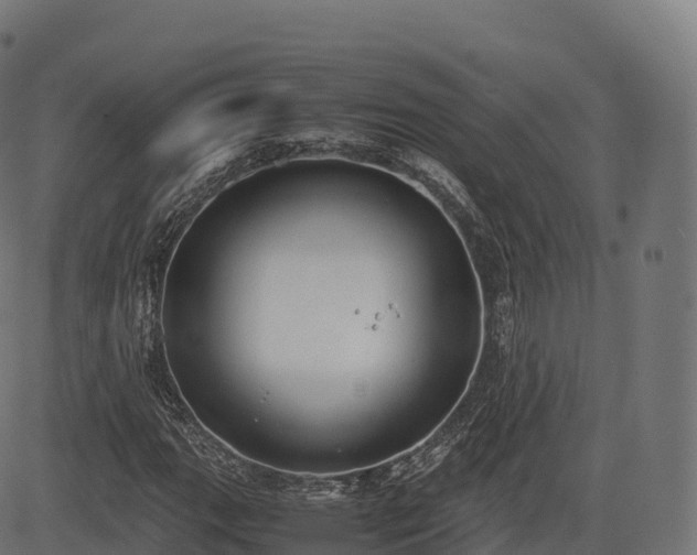 X0000085251111200703091251