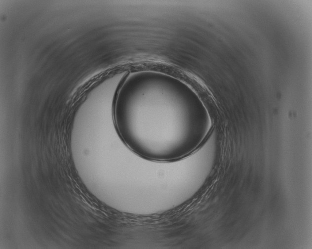 X0000085251112200703091251