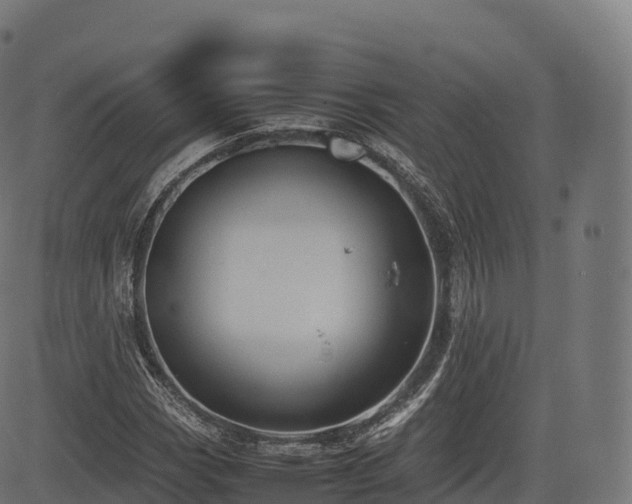 X0000085251113200703091251