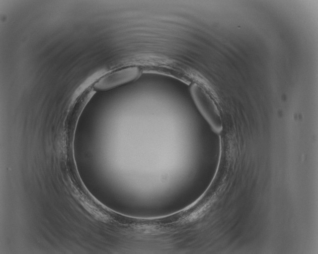 X0000085251114200703091251